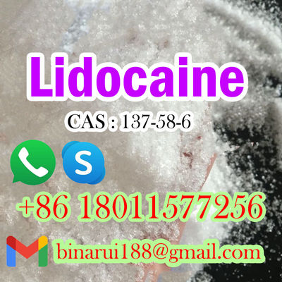 CAS 137-58-6 Productos químicos orgánicos Gravacaína C14H22N2O Maricaína Gran inventario